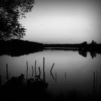 /album/limarie/photolia-b01-jpg/